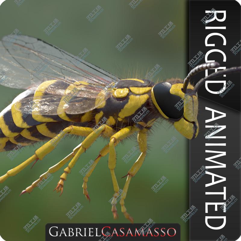 images/goods_img/202104092/Vespula squamosa Rigged model/1.jpg